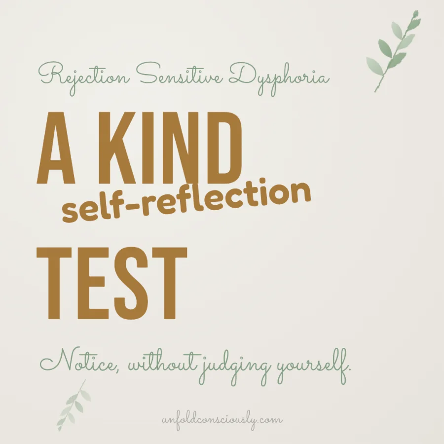 a kind self-reflection test - rejection sensitive dysphoria